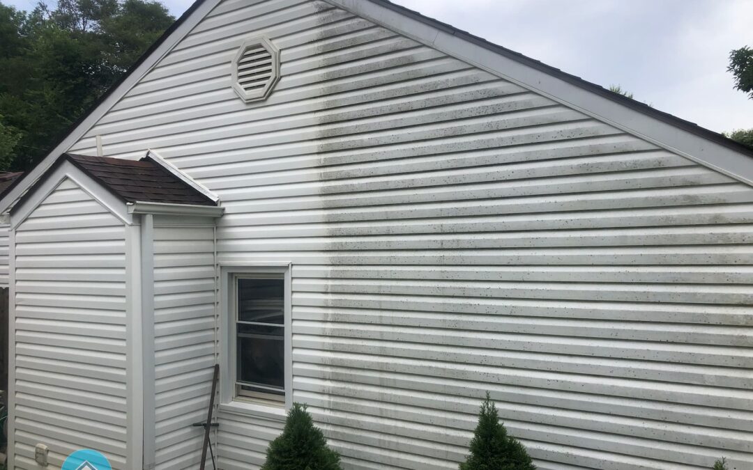 What Am I Seeing on my Exterior House Siding?